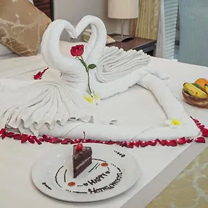 ديكوتا كوتا